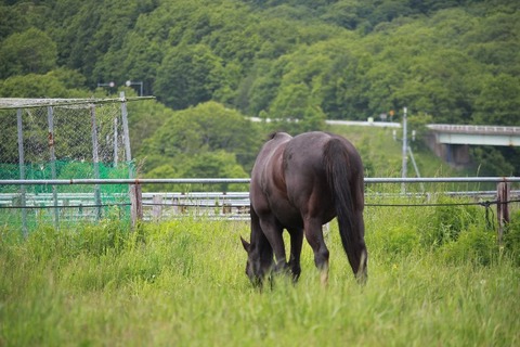 IMG_5475済