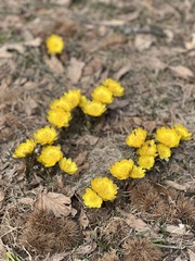 IMG_E8637済