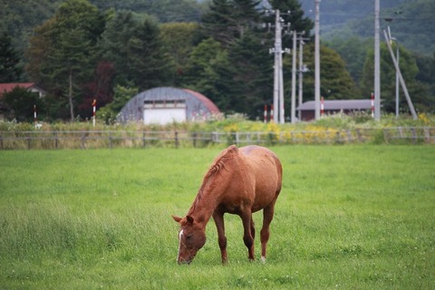 SIMG_7256済