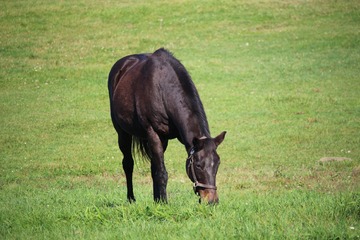 IMG_4827済