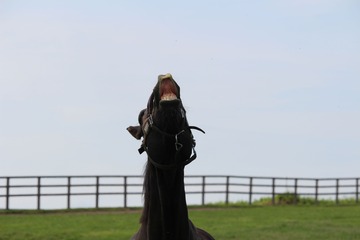 IMG_0068済