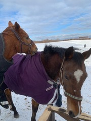 2022-01-23 21.04.39済