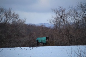 IMG_9052済