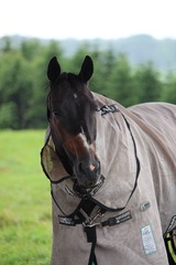 SIMG_3418 (1)