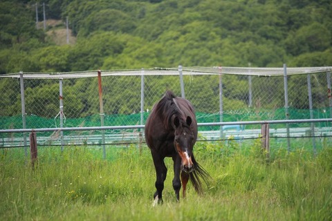 IMG_5484済