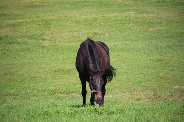 IMG_4825済