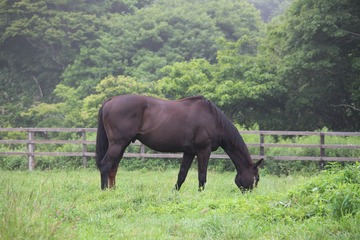 SIMG_2951済