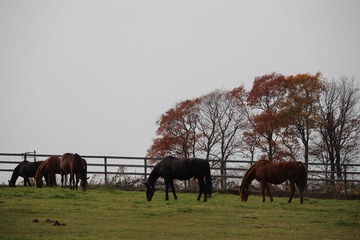 IMG_7502済