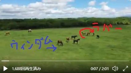 キャプチャ2