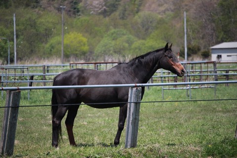 SIMG_3368