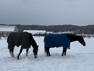 IMG_3434★-2