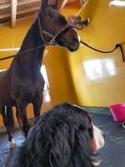 2022-01-25 07.37.15-2