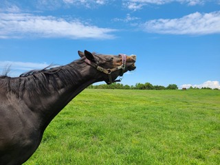 13676D7F-5F5F-46E8-AC76-4DC20E257A13