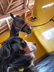 2022-01-25 07.37.15-4