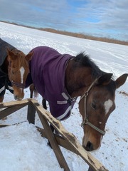 2022-01-23 21.04.52済