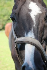 SIMG_0013★