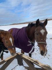 2022-01-23 21.04.43済