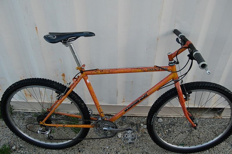 リサイクルショップにて3 : それはユーラシアから始まった