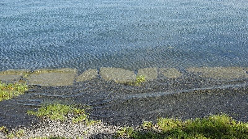 琵琶湖４ それはユーラシアから始まった