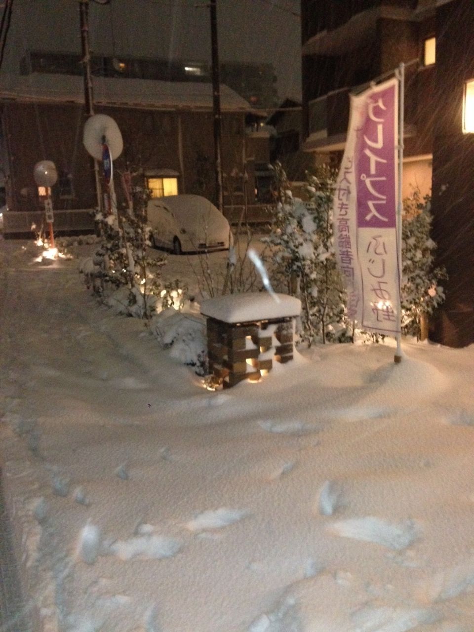 グレイプスふじみ野 スタッフブログ グレイプスふじみ野 アクティビティの紹介 映画鑑賞