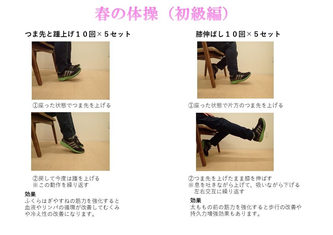 高齢者向けコロナ対策 座ってできる足の体操 グレイプス大森西 のスタッフブログ サービス付き高齢者住宅