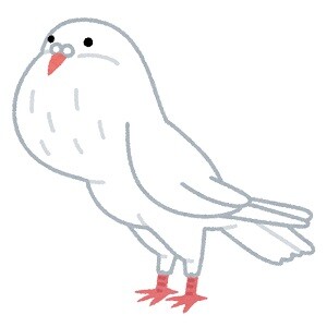 bird_pouter_hato