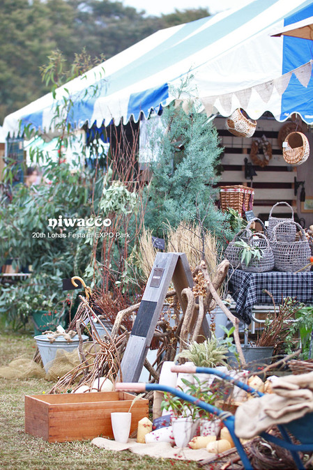 20thLF_niwacco