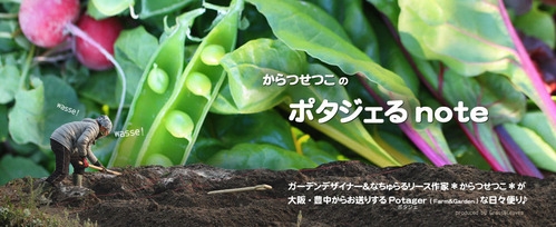 potager_back_2