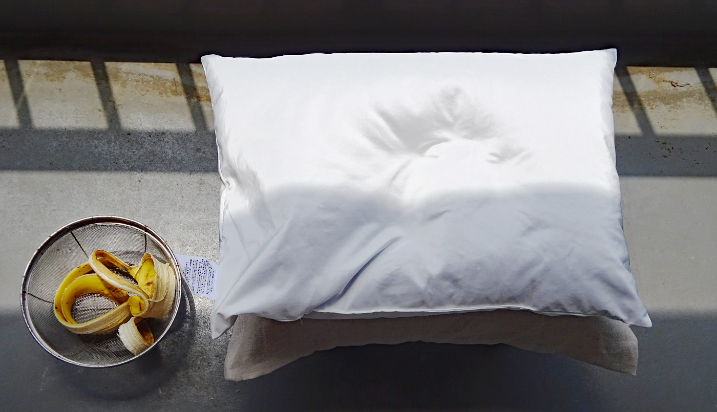 そばがら枕 梅雨は乾燥機で Raspberry Bush Ii