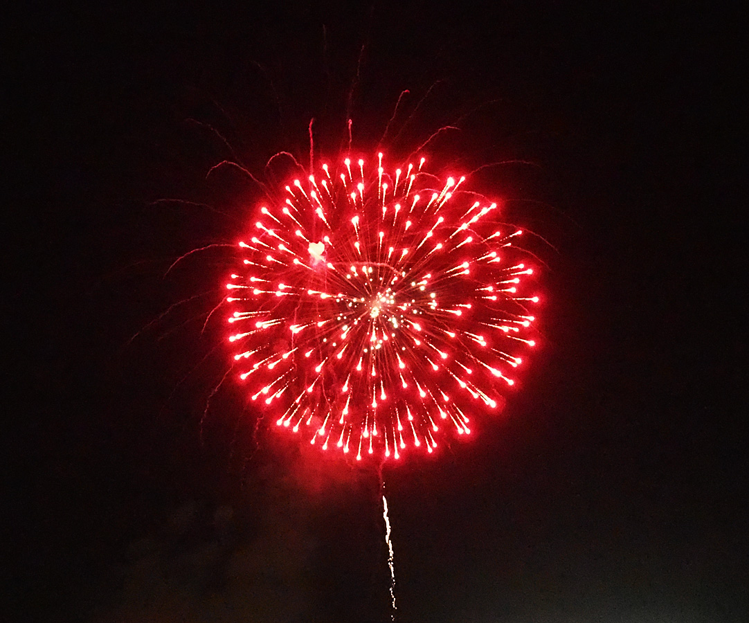 Raspberry Bush II : 大和田公園花火大会 2018 - 9 Fireworks display at Owada Park