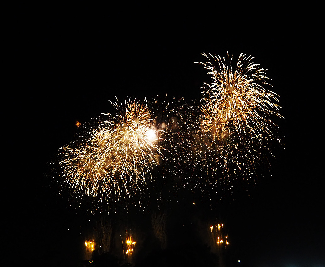 Raspberry Bush II : 大和田公園花火大会 2018 - 12 Fireworks display at Owada Park