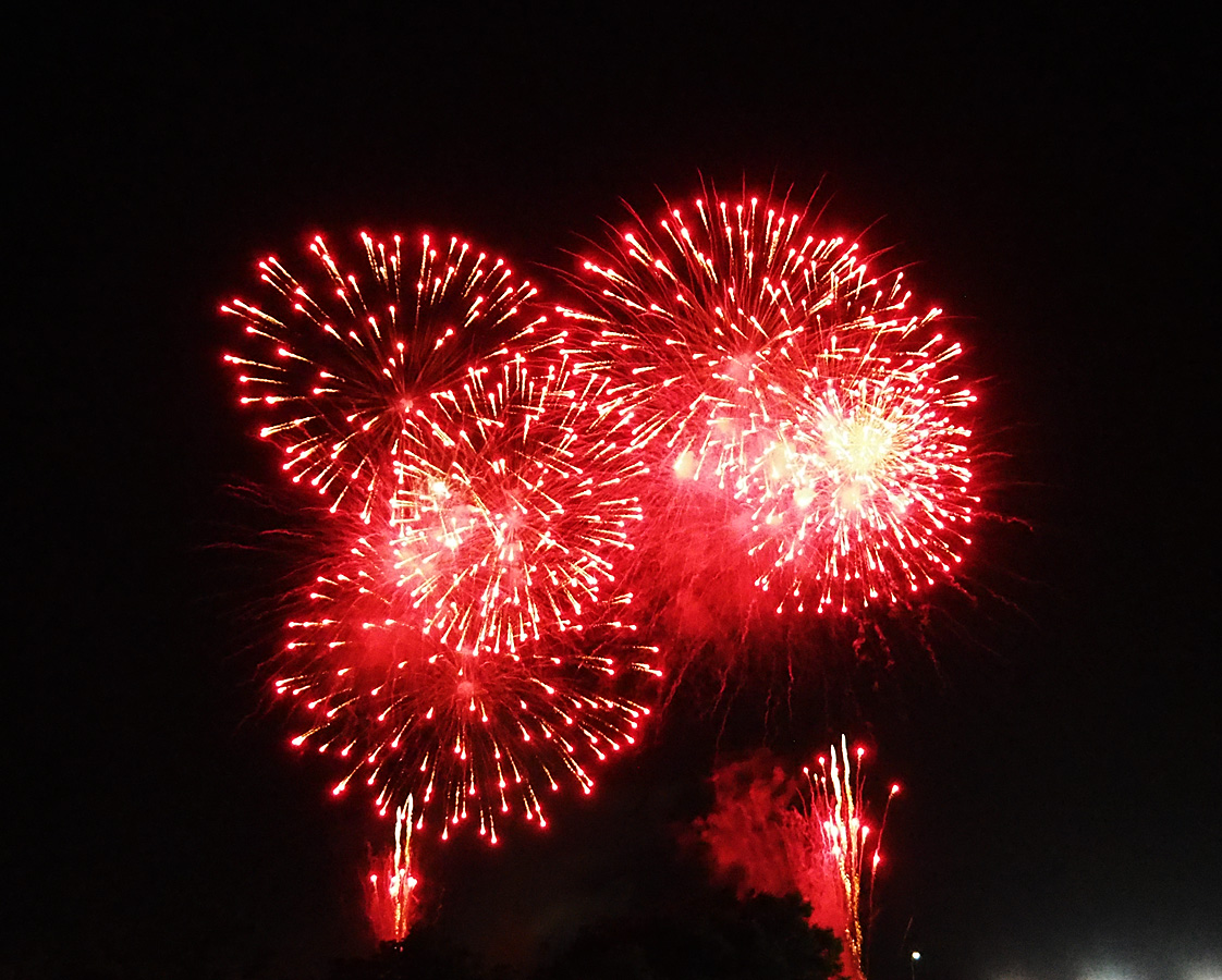 Raspberry Bush II : 大和田公園花火大会 2018 - 9 Fireworks display at Owada Park