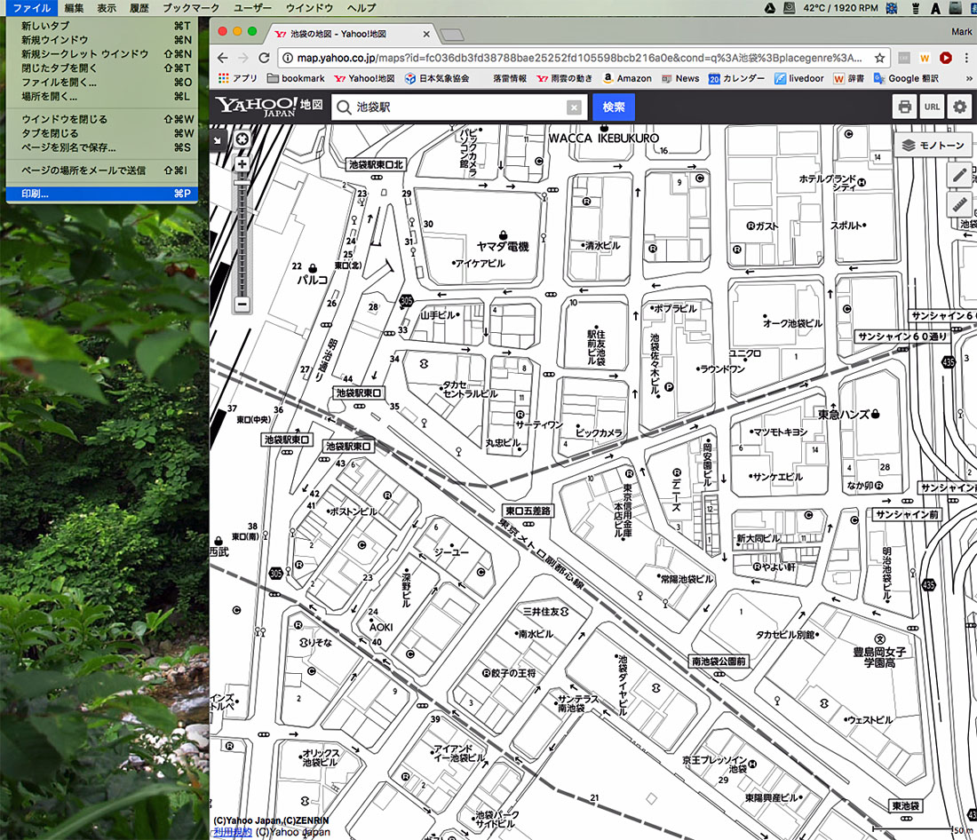 印刷するなら モノトーン Yahoo 地図 が一番見やすい Raspberry Bush Ii