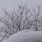 fa558877.jpg