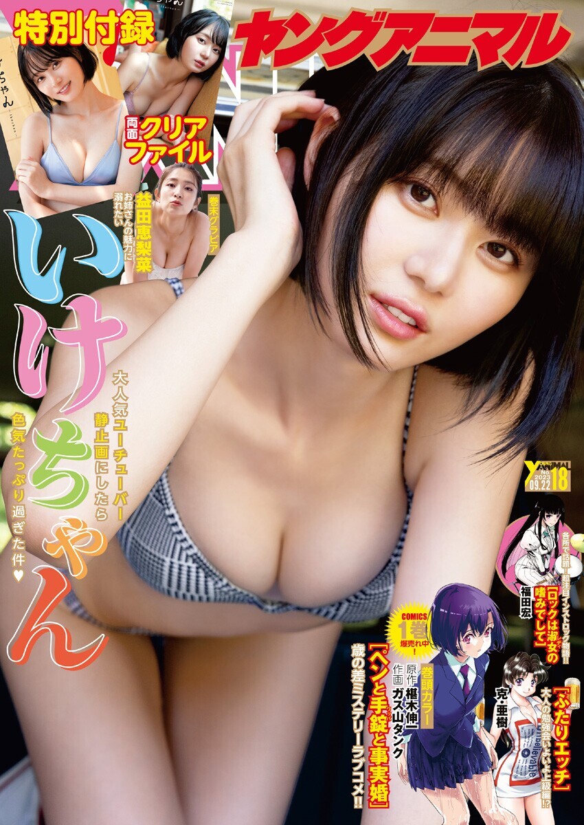 YOUNG ANIMAL ヤングアニマル 2023.09.08 NO.18 いけちゃん 益田恵梨菜 小日向ゆか : グラビア週刊誌 9