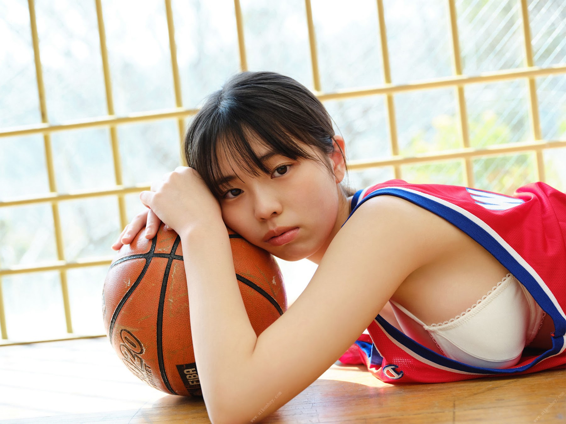 O̗ẑς 24cm ->摜>223 