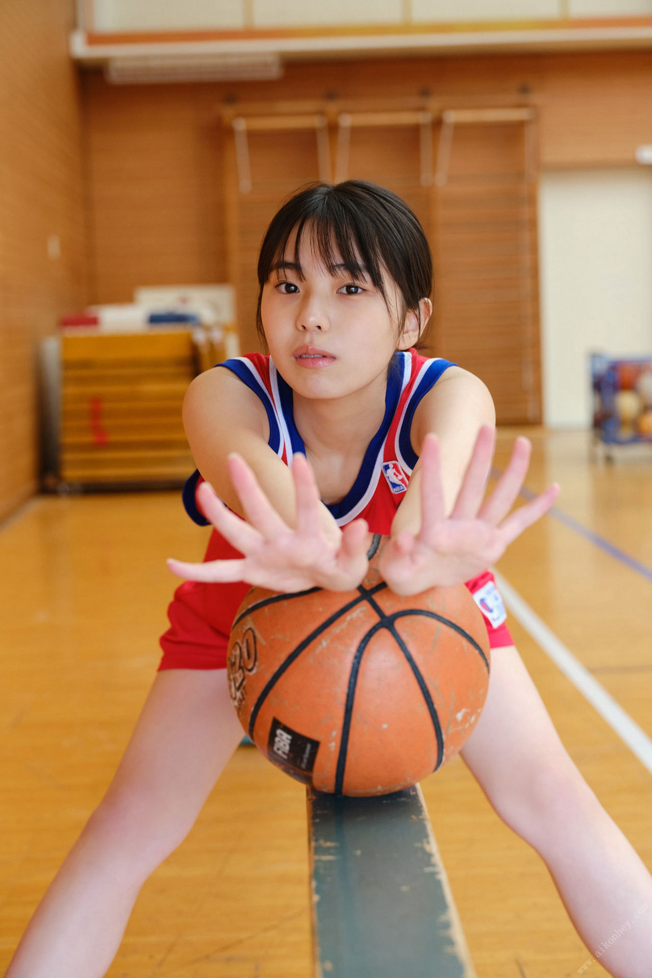 O̗ẑς 24cm ->摜>223 