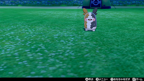 ポケモン剣盾 色違いモルペコとアドバイス 夫婦と息子の平凡な日々の漫画ブログ 徒然グレイフル