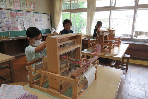 IMG_6600