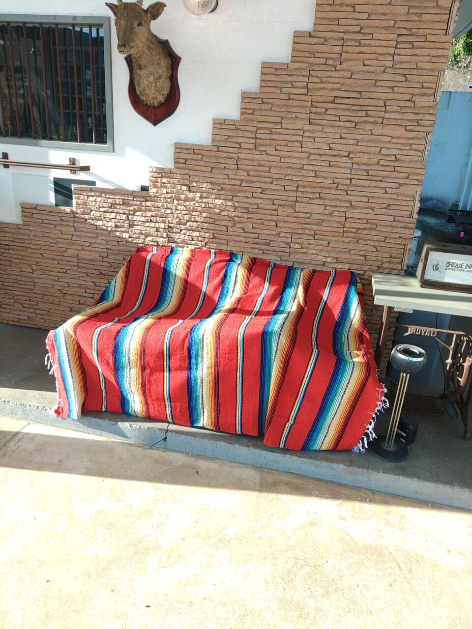 KIMG6367