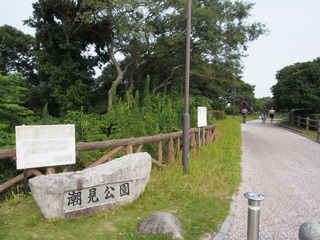 P8314223