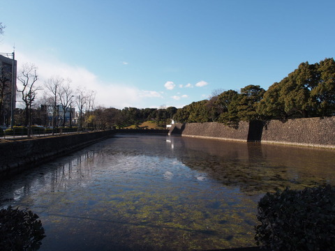 P2065254