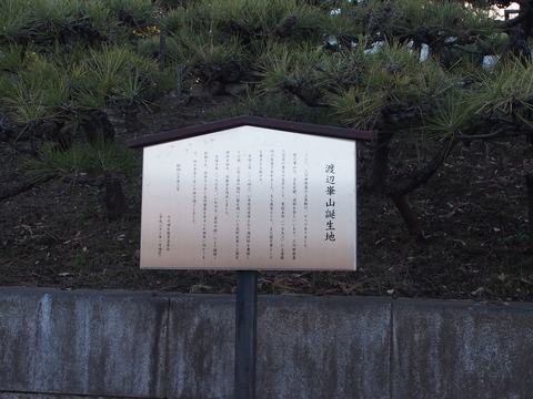 P2065282