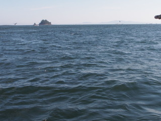 P9144376