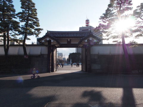 P2065266