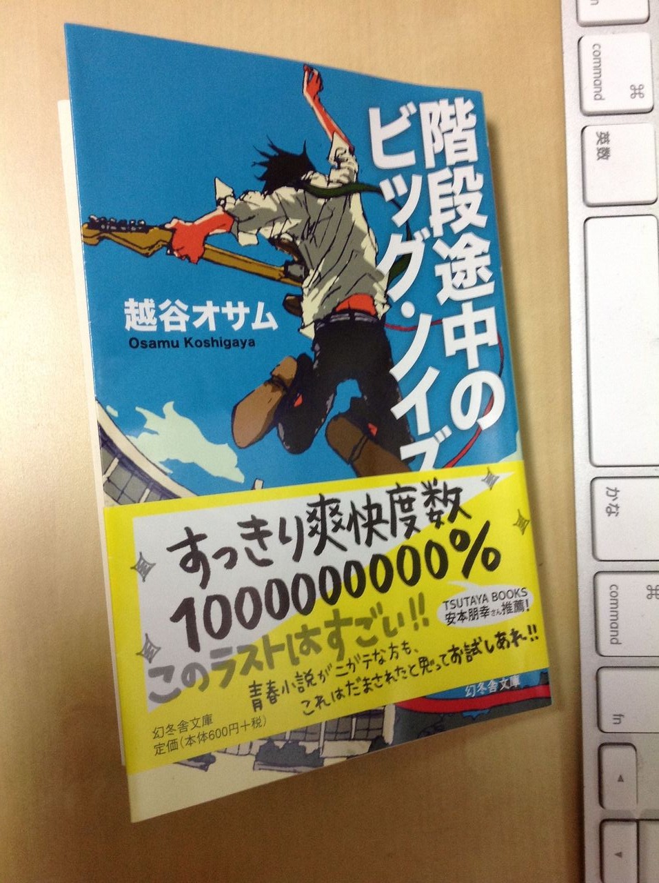 階段途中のビッグノイズ 日々雑踏 階段途中のビッグノイズ 日々雑踏