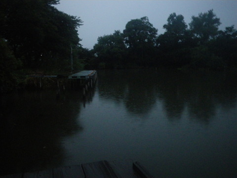 IMGP0601
