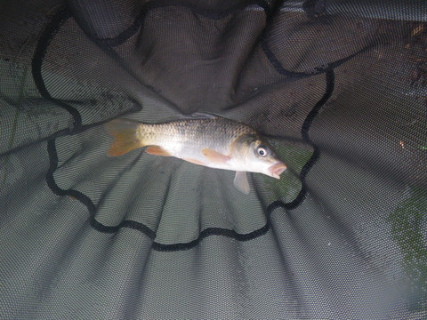 IMGP0652 - コピー