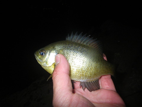 IMGP0443