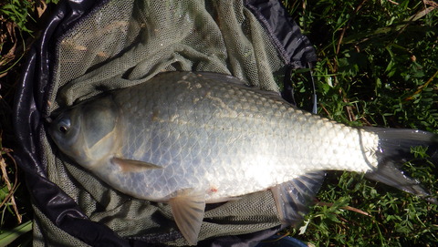 RIMG1245
